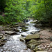Brian Ricketts Photo 28