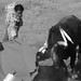 Jose Cavazos Photo 12