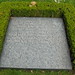Joyce Graves Photo 8