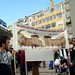 Teresa Maciel Photo 16