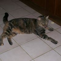 Shelby Brown Photo 8