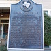 Stephen Pace Photo 13
