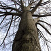 Mark Boles Photo 8
