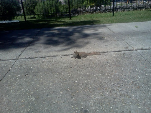 Vicki Erickson Photo 7