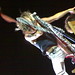 Steven Edge Photo 16