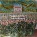 Susan Irvin Photo 16