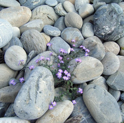 Rosemary Turner Photo 15