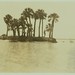 Ruth Trimmer Photo 4