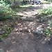 Donna Hoffman Photo 28