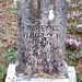 Mary Whitlock Photo 17