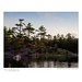 Dawn Franklin Photo 31