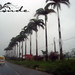 Rafael Conde Photo 18