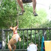 Joshua Redmond Photo 11