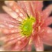 Donna Frame Photo 18