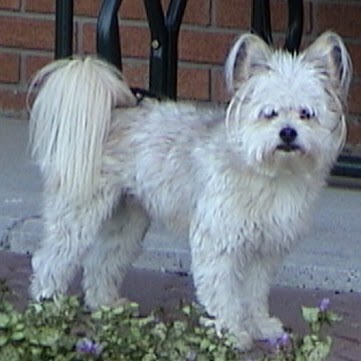 Susan Tripp Photo 44