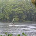 Ruth Greenfield Photo 12