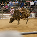 Robert Chance Photo 23
