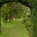 Cecilia Hedges Photo 8