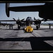 Douglas Mitchell Photo 41