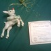 Dawn Snyder Photo 21