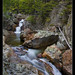 Glen Ellis Photo 14