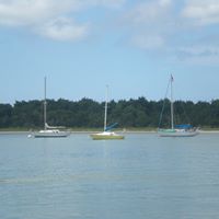 Catherine Downes Photo 4