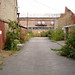William Bartlett Photo 38