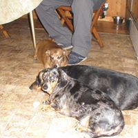 Carolyn Hawkins Photo 7