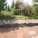 William Tulloch Photo 22