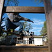 Tyler Carlson Photo 6