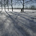 Teri Peoples Photo 8