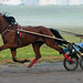 Eddie Adams Photo 44