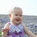 Allison Bonnet Photo 10