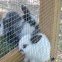 Debbie Harrell Photo 44