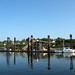 Peter Collison Photo 15