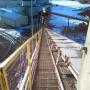 Michael Riffe Photo 13