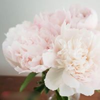 Khiem Trinh Photo 4