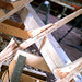Thomas Rowley Photo 37