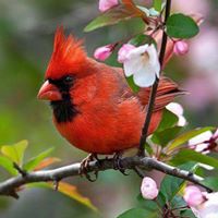 Anita Goins Photo 2