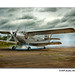 Jonathan Ly Photo 20