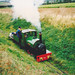 Jane Wells Photo 26