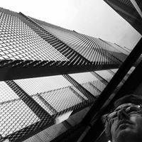 David Robins Photo 41