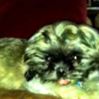 Constance Roberson Photo 7