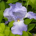 Wendy Cross Photo 39