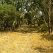 Thelma Robertson Photo 16
