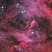 David Thackeray Photo 10