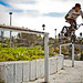Hoang Tran Photo 36