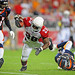 Roderick Rogers Photo 19
