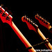 Ed Bailey Photo 17