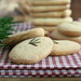 Rosemary Milano Photo 1